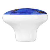 Bouton De Porte En Céramique Guardian Blue Delphiniums Larkspur (Côté)