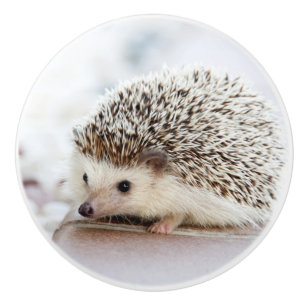 Bouton De Porte En Céramique Hérisson de bébé mignon
