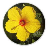 Bouton De Porte En Céramique Hibiscus jaune Fleur Ceramic Knob (Devant)