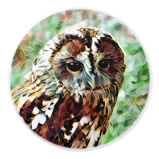 BOUTON DE PORTE EN CÉRAMIQUE HIBOU (Devant)