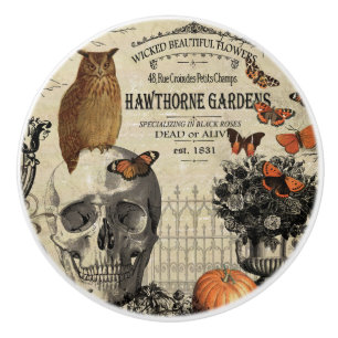 Bouton De Porte En Céramique Hibou et crâne vintages modernes de Halloween