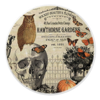 Bouton De Porte En Céramique Hibou et crâne vintages modernes de Halloween