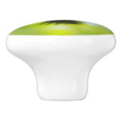 Bouton De Porte En Céramique Homme Ruby Throat Hummingbird (Côté)