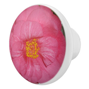 Bouton De Porte En Céramique Hot Pink Camellia Growing