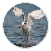 Bouton De Porte En Céramique Hovering Kittiwake (Devant)