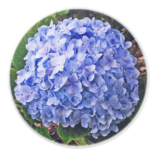 Bouton De Porte En Céramique Hydrangée bleue (Devant)