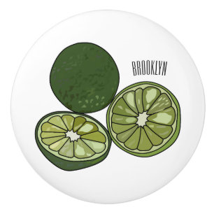 Bouton De Porte En Céramique Illustration de chaux Kaffir