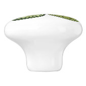 Bouton De Porte En Céramique Illustration de chaux Kaffir (Côté)