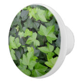 Bouton De Porte En Céramique Impression botanique verte Ivy (Droite)
