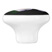 Bouton De Porte En Céramique Impression photo Plumeria (Côté)