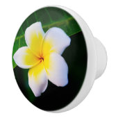 Bouton De Porte En Céramique Impression photo Plumeria (Droite)