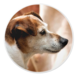 BOUTON DE PORTE EN CÉRAMIQUE JACK RUSSELL TERRIER CHIEN