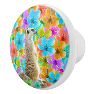Bouton De Porte En Céramique Jardin Joueur : Meerkat au milieu des fleurs trico