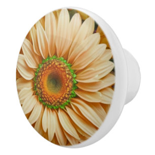 Bouton De Porte En Céramique Jaune floral jaune tournesol jaunes marguerites