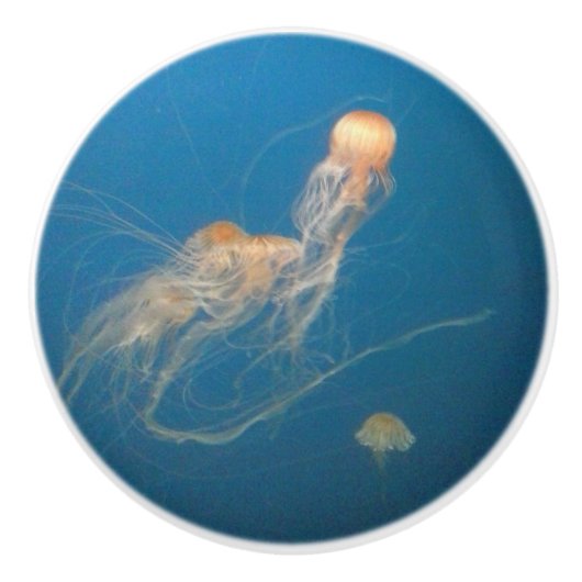 Bouton De Porte En Céramique JellyFish Mobilier en céramique (Devant)