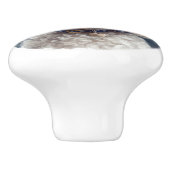 Bouton De Porte En Céramique Joli caniche (Côté)