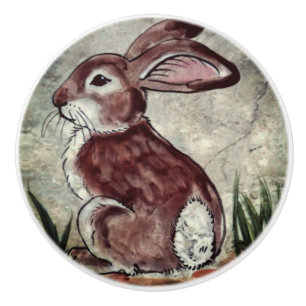 Bouton De Porte En Céramique Joli lapin Brown sur l'aquarelle en pierre grise