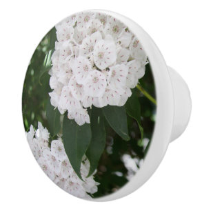 Bouton De Porte En Céramique Jolies fleurs de laurier de montagne blancs