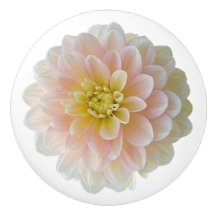 Jour Dreamer Nénuphar Dahlia