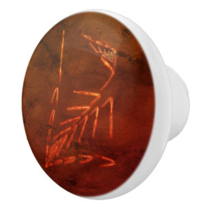 Bouton De Porte En Céramique Jurassic fossile