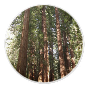Bouton De Porte En Céramique Jusqu'à Redwoods II au monument national de Muir W