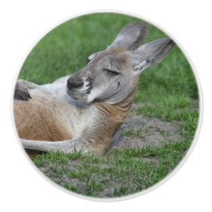 Bouton De Porte En Céramique Kangaroo à dos