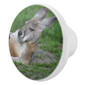 Bouton De Porte En Céramique Kangaroo à dos (Droite)