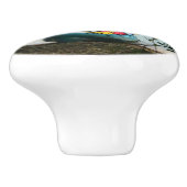 Bouton De Porte En Céramique Kayaking aux îles Virgin (Côté)