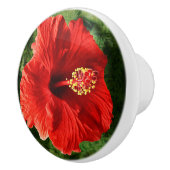 Bouton De Porte En Céramique Ketmie rouge (Droite)