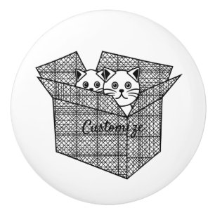 Bouton De Porte En Céramique Kittens dans une boîte Thunder_Cove
