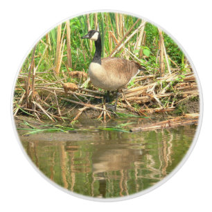 BOUTON DE PORTE EN CÉRAMIQUE KNOB CÉRAMIQUE/CANADA GOOSE AU BORD DE L'EAU