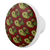 Bouton De Porte En Céramique Knobs Avocado (Droite)