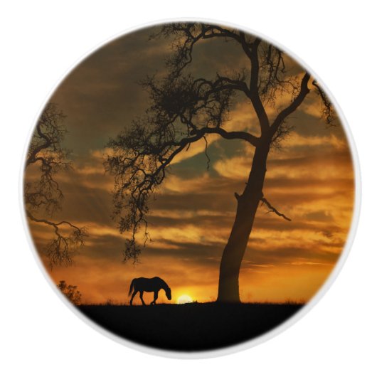 Bouton De Porte En Céramique Knows et Pulls de Cheval du Sud-Ouest (Devant)