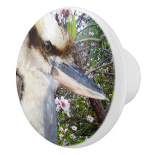 Bouton De Porte En Céramique Kookaburra À Côté D'Un Arbre En Fleur,