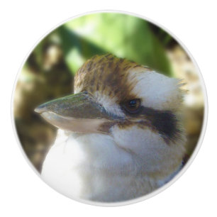 Bouton De Porte En Céramique Kookaburras' D'Australie,