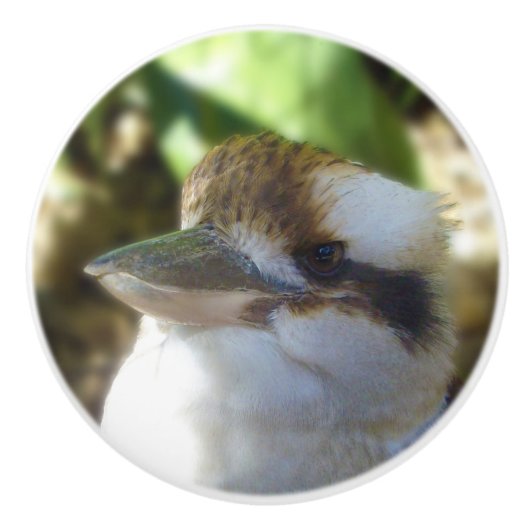 Bouton De Porte En Céramique Kookaburras' D'Australie, (Devant)
