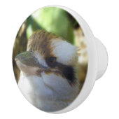 Bouton De Porte En Céramique Kookaburras' D'Australie, (Droite)