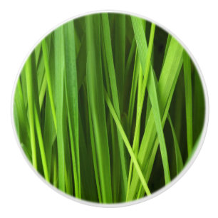 Bouton De Porte En Céramique Lames d'herbe