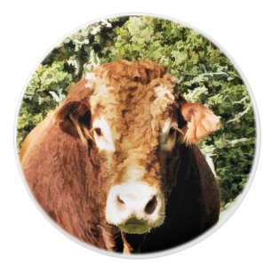 BOUTON DE PORTE EN CÉRAMIQUE LE BULL