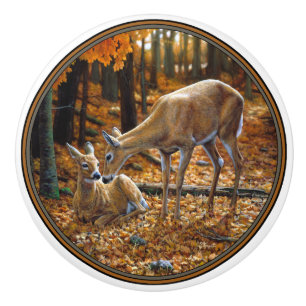 Bouton De Porte En Céramique Le cerf de Virginie - automne