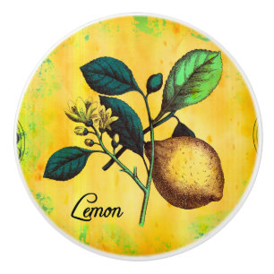 Bouton De Porte En Céramique Le fruit de citron fleurit le cru de feuille