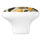 Bouton De Porte En Céramique Lemon Botanical Grove (Côté)