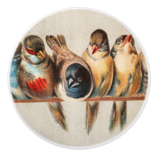 Bouton De Porte En Céramique Ligne d'oiseaux et de colombes