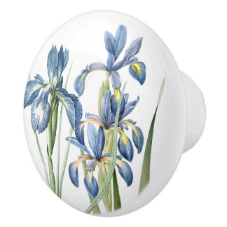 Bouton De Porte En Céramique L'iris de Redoutes fleurit botanique floral