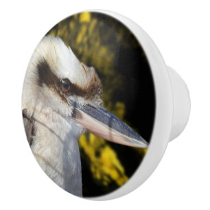 Bouton De Porte En Céramique L'oiseau riant d'Australie Le Kookaburra,