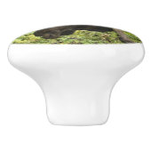 Bouton De Porte En Céramique L'orignal (Côté)