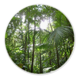 Bouton De Porte En Céramique Lumière du soleil à travers la canopée de la forêt