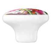 Bouton De Porte En Céramique Lys roses fleurs tropicales roses rose (Côté)