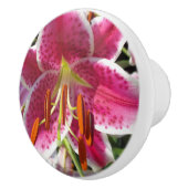Bouton De Porte En Céramique Lys roses fleurs tropicales roses rose (Droite)
