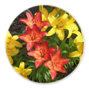 Bouton De Porte En Céramique Lys rouge et jaune avec feuillage vert Tige en cé